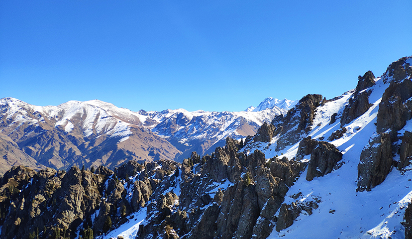 青山原不老，為雪白頭。